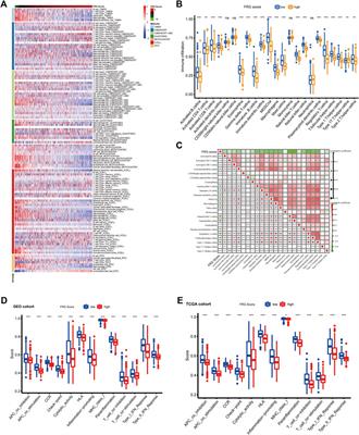 The Expression Pattern of Ferroptosis-Related Genes in Colon Adenocarcinoma: Highly Correlated to Tumor Microenvironment Characteristics